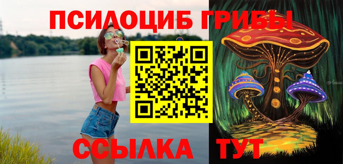 Галлюциногенные грибы мицелий  Галлюциногенные грибы прущие грибы  Вход с VPN  Минеральные Воды 