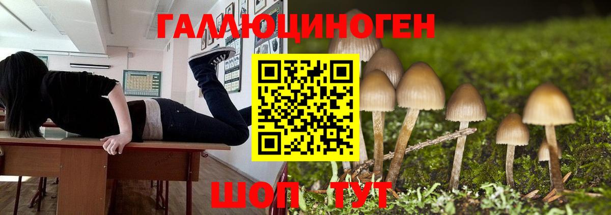 Псилоцибиновые грибы GOLDEN TEACHER Минеральные Воды